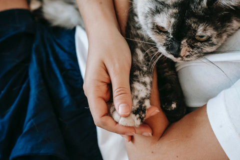 woman is holding a cute cat's paw