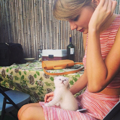 taylor swift the cat lady