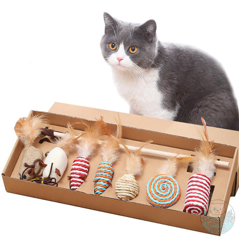 cat teaser toy collection sisal feather natural box