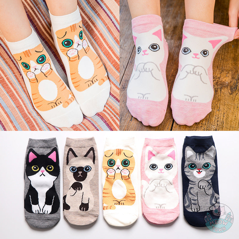 Socks Bundle - Cute Cat breeds -5 pairs – Meow Town