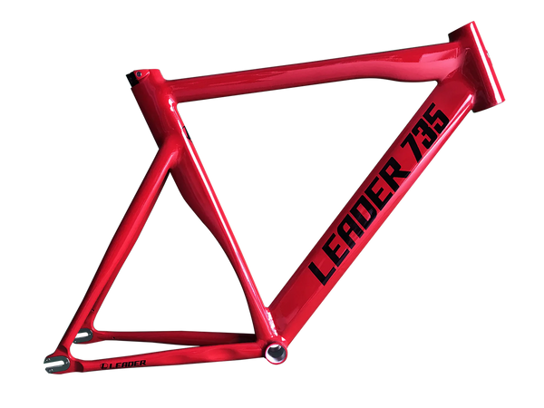 LEADER 721 Bike Frame 20% off || Mr. Bike Shop – Mr. Bikes