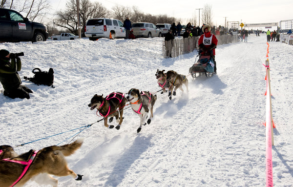 Canadian Challenge Sled Dog Race in Saskatchewan