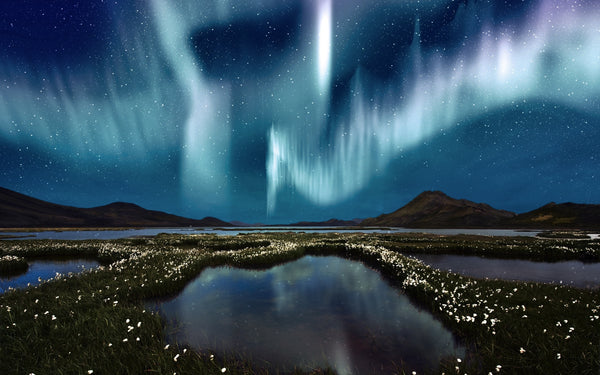 Yukon's Terre Boreale Northern Lights