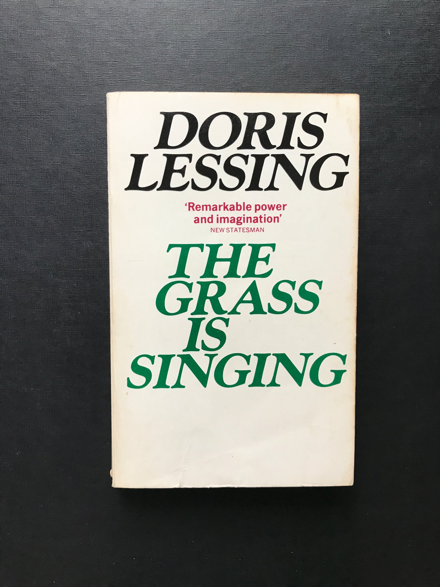 doris lessing the grass is singing