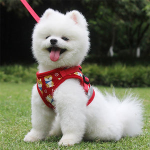 dog harness leash set