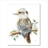 australian souvenir tea towels kookaburra