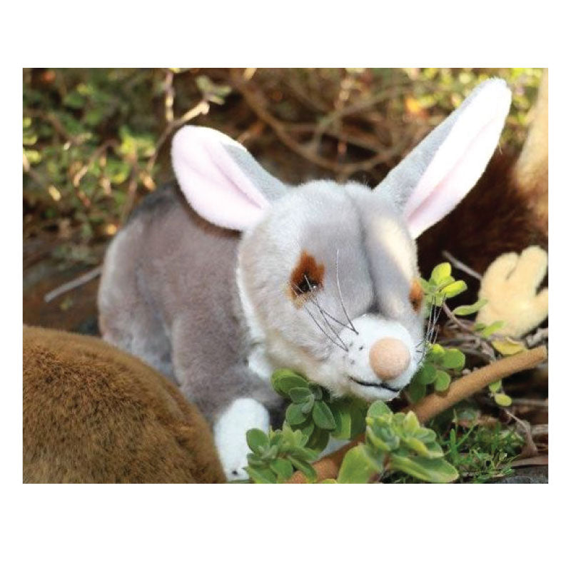 bilby soft toy