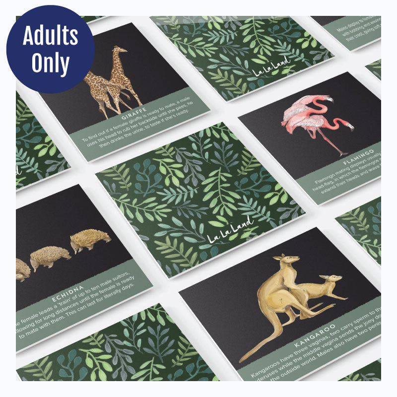 Memory Cards - Wild Fur You - Adults only