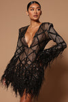 Amber Deep V Embellished Feather Trim Mini Dress - Black