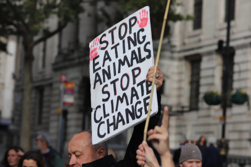 animal-activism