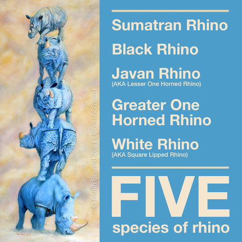 Image of 5 rhinos, painted in blue by Sarah Soward. The rhinos are stacked on top of each other and at scale. The text to the right of the rhinos reads, Sumatran Rhino, Black Rhino, Javan Rhino, Greater One Horned Rhino, White Rhino, FIVE species of rhino