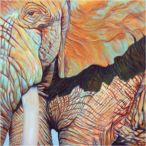 Jupiter, copyright Sarah Soward, painting of an elephant resembling the planet Jupiter