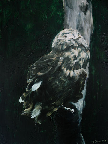 Moonbather, copyright Sarah Soward, painting of a Hawaiian pueo owl at night with its face up raised to the moonlight