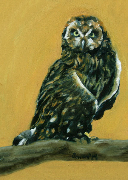 At Attention, Pueo, copyright Sarah Soward, painting of a Hawaiian owl on a mustard yellow background
