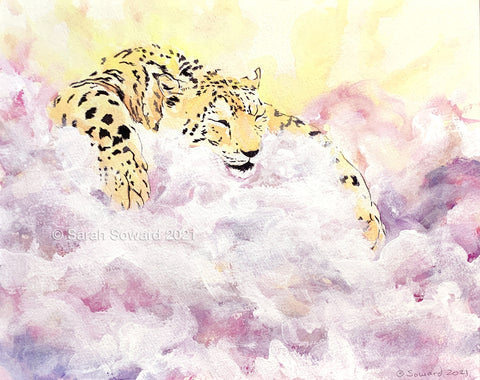 Snoozing Sun Leopard, copyright Sarah Soward.