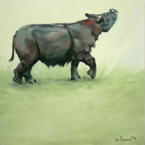 Suci Rhino, copyright Sarah Soward, image of Sumatran rhino being happy