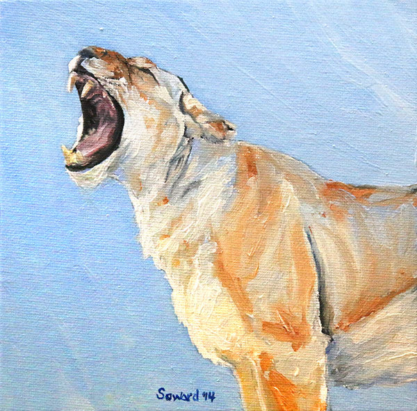 The Yawn, Lioness, copyright Sarah Soward, painting of a lioness yawning