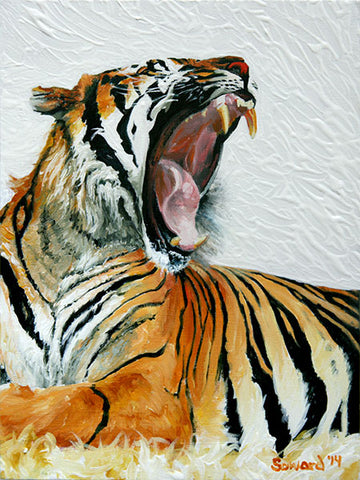 The Yawn, Tiger, copyright Sarah Soward, image of yawning tiger