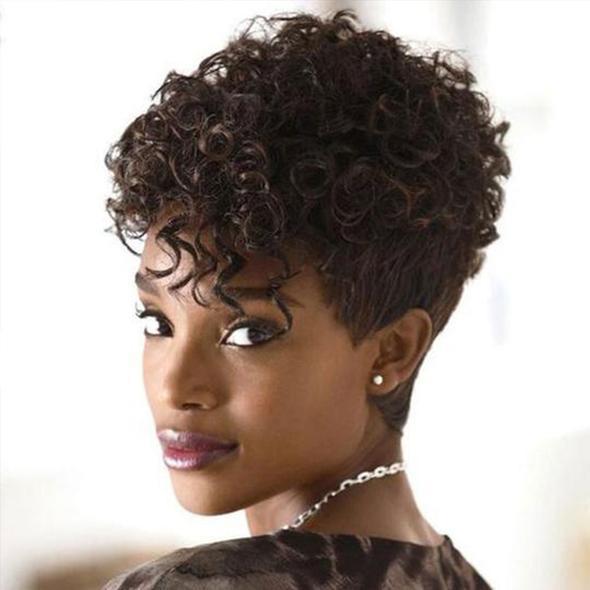 Best Design Women Short Curly Wig For African American Human Hair