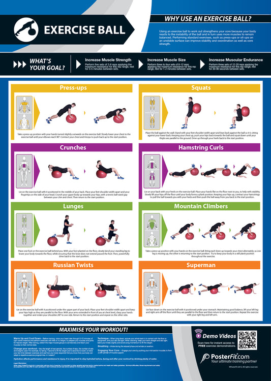 Foam Roller Exercise Poster