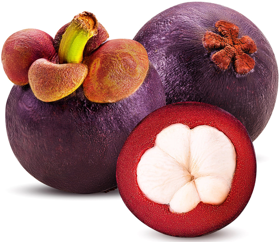 Mangosteen Fruit Powder from non-GMO, Pure, Raw, Organic Mangostan