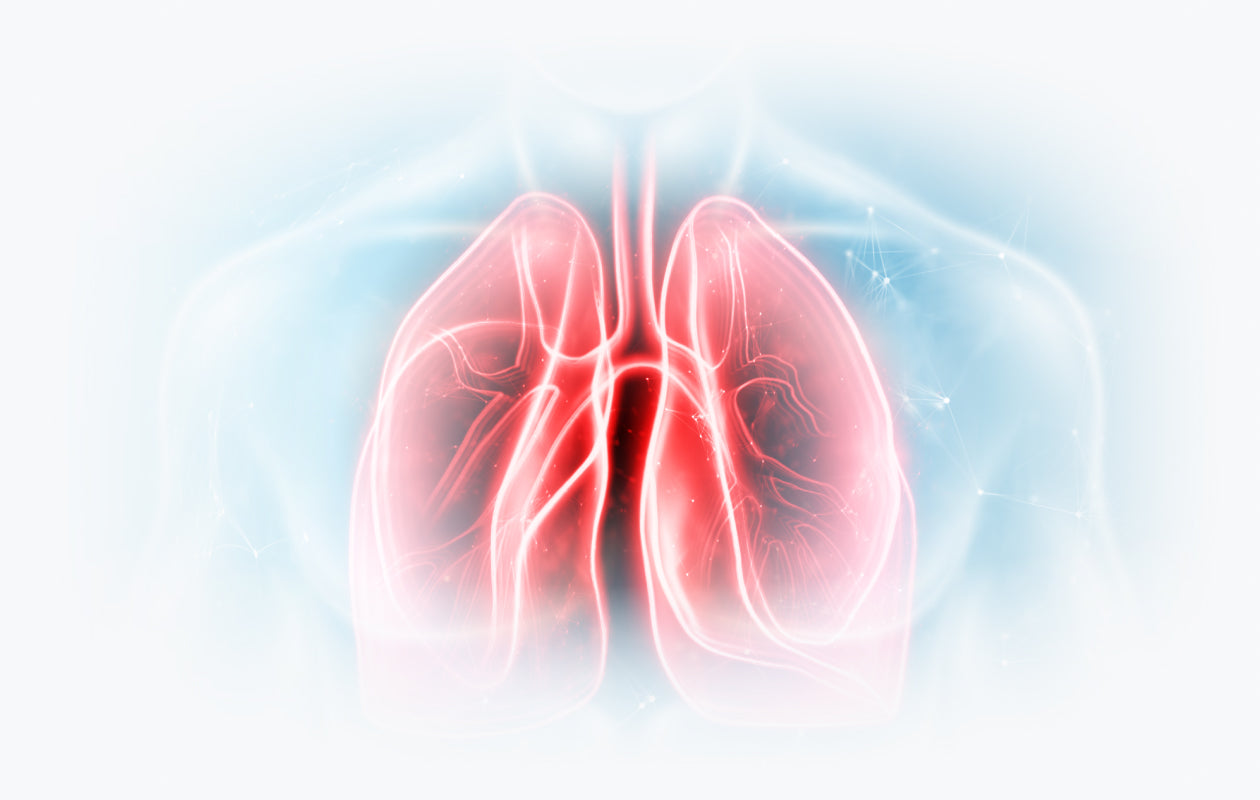 Visualization of healthy lungs.