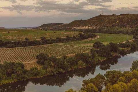 Meandro del río Ebro y los viñedos de Villota