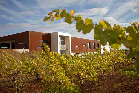 Bodega Leyenda del Páramo