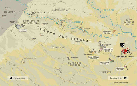 Mapa situación geográfica de Recaredo y viñedos