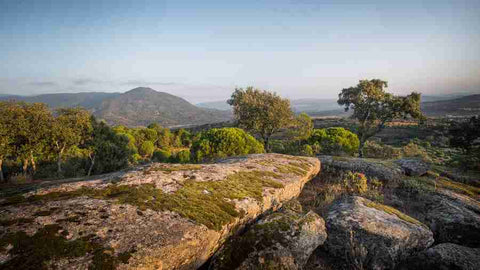 Paisaje de la comarca donde se aloja la Bodega Marañones