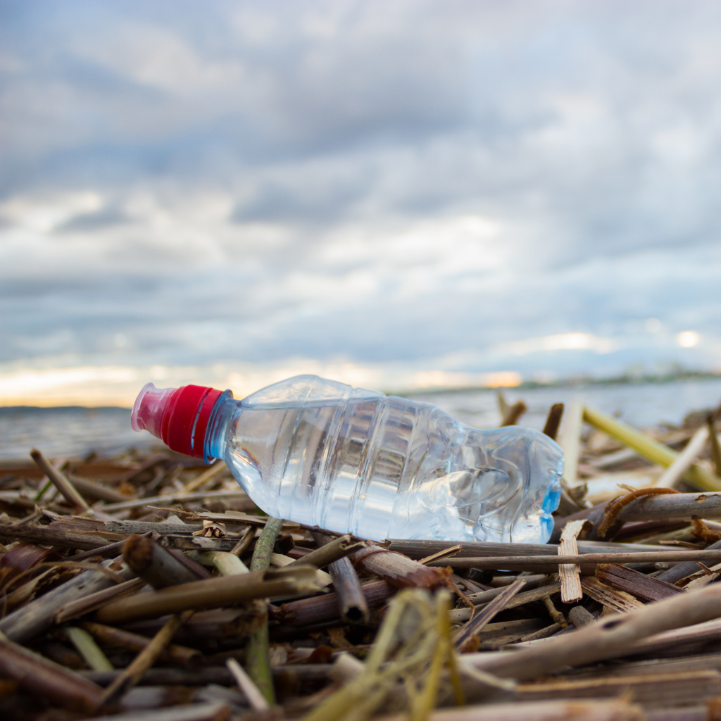 Are Plastic Water Bottles Really That Bad? Not Always