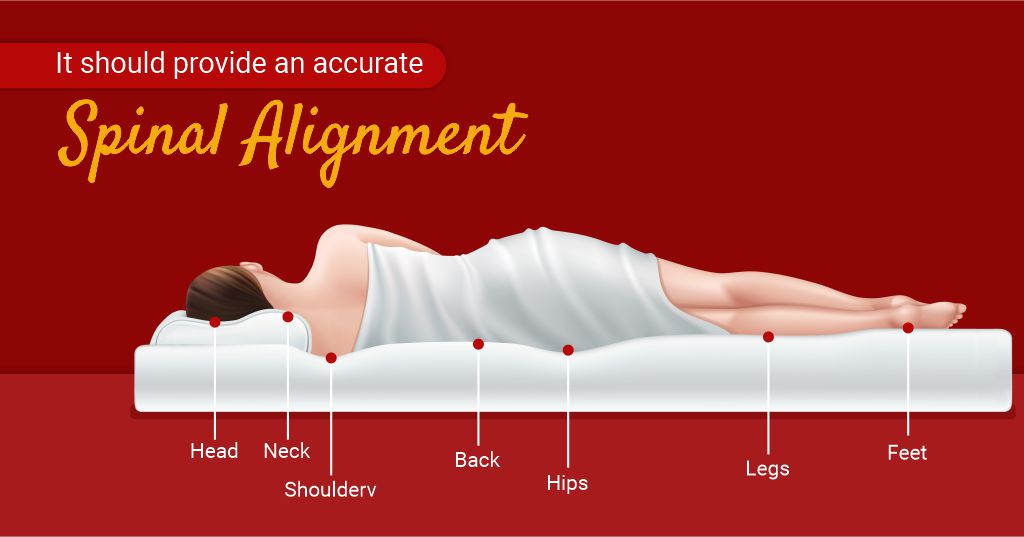 It should provide an accurate Spinal Alignment