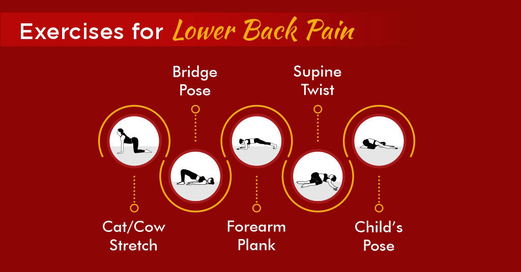 Exercises for Lower Back Pain