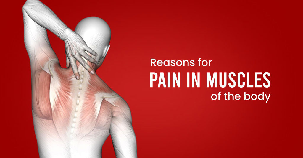 pain in muscles of the body