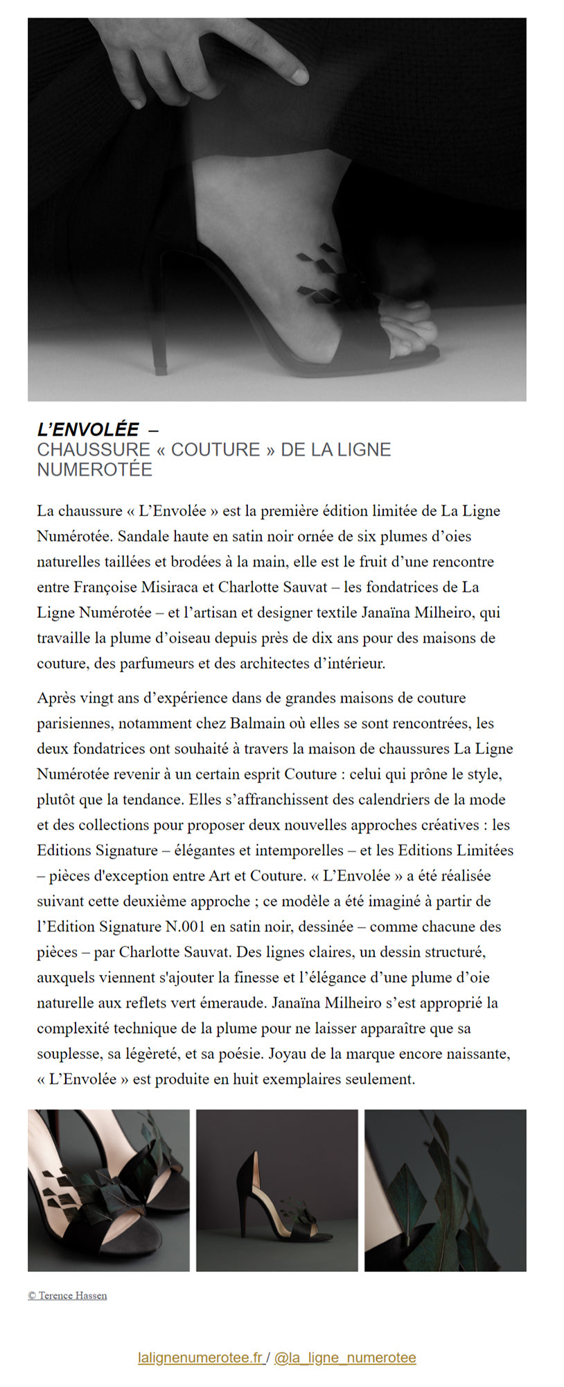 Newsletter Process Magazine par le journaliste Benoit Pelletier au sujet de l'Edition Limitée "L'Envolée" de La Ligne Numérotée.
