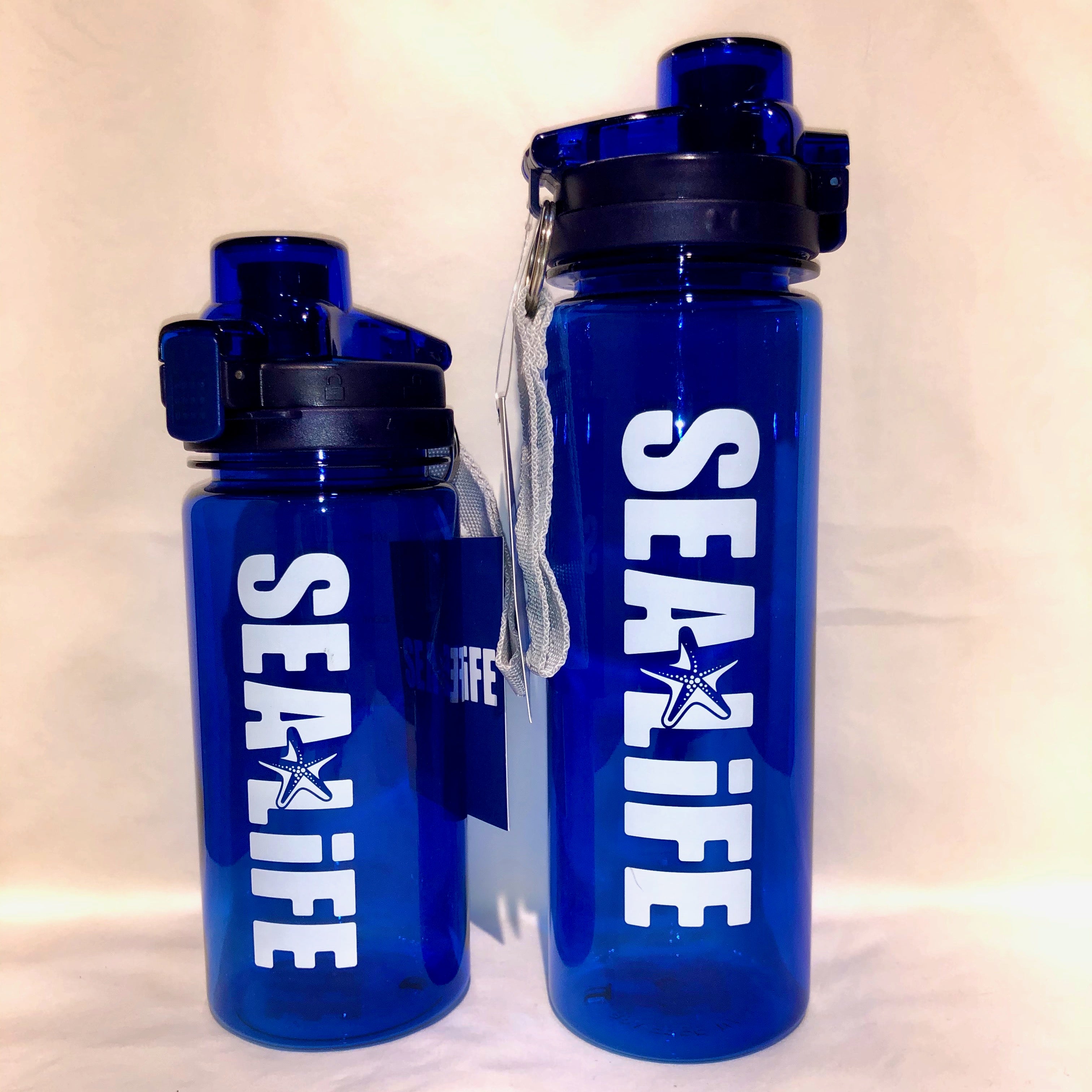 sea life water bottle