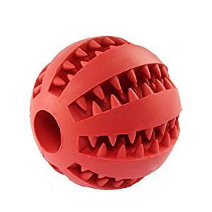 toothy dog ball