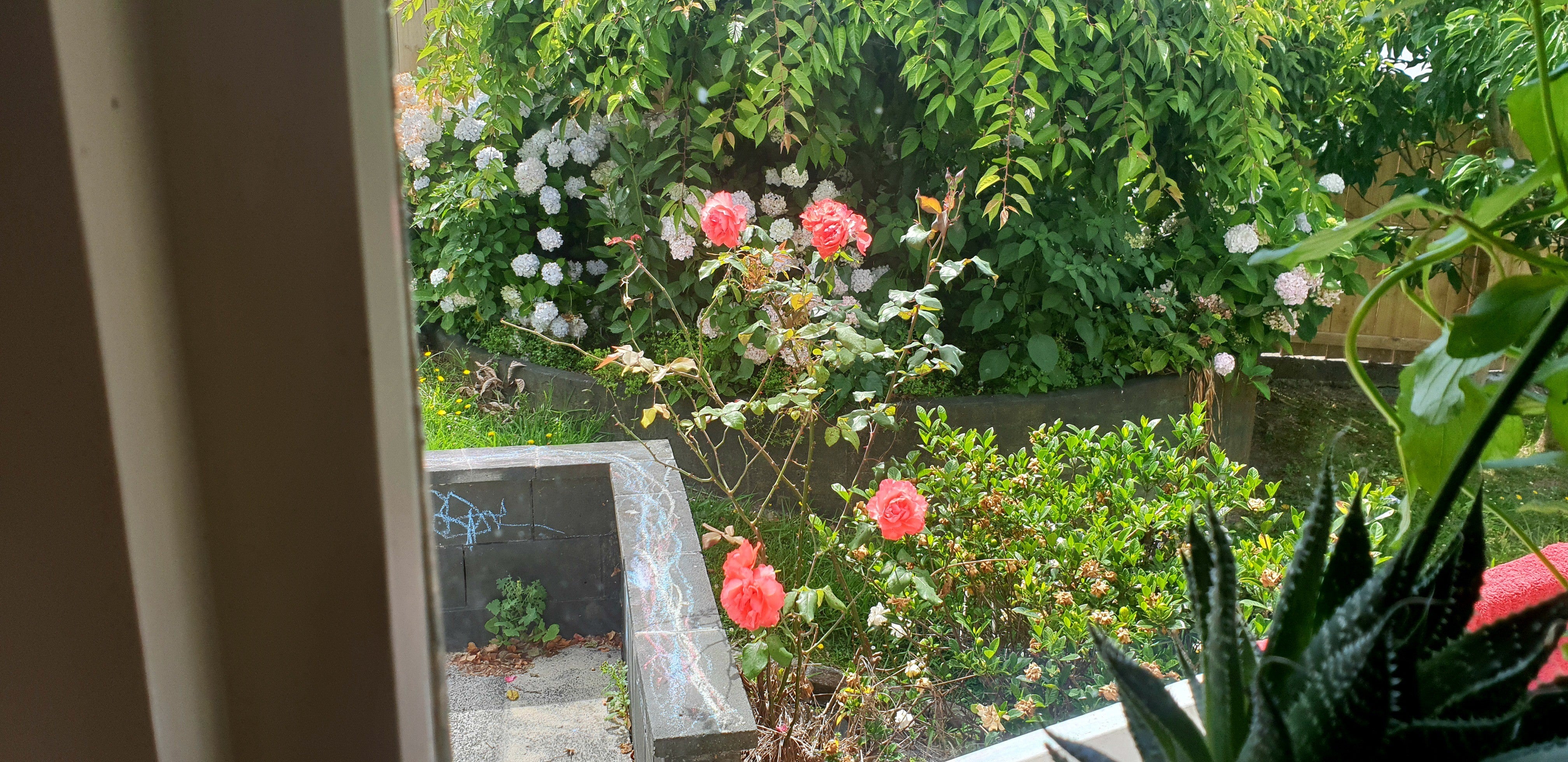 2019 Blog 3