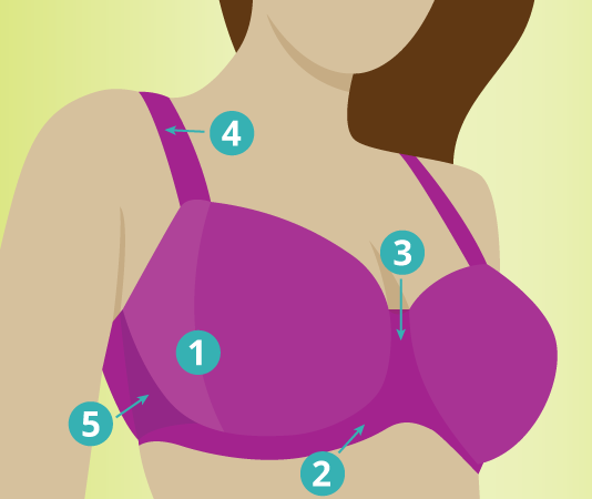 Bra Fitting Guide – Curvaceous Lingerie