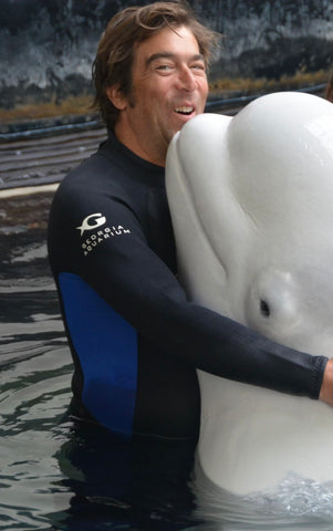 A close-up of a smiling man in a wetsuit embracing a beluga whale in a clear pool of water, with the man's cheek pressed affectionately against the whale's head.