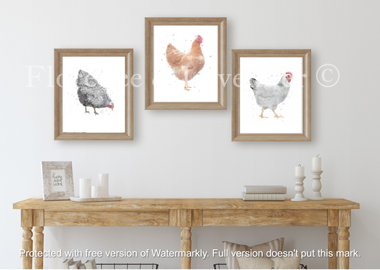 Backyard Chicken Breeds Art Print / Watercolor / Farmhouse Art / Gifts for  Her / Backyard Chickens / Farmhouse Art Print / Chicken Art -  Israel