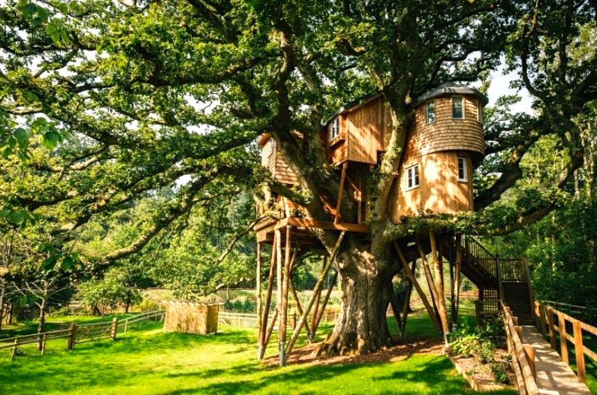 Los 10 mejores hoteles en árboles del mundo 5
