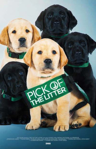 Pick of the Litter movie poster featuring 5 puppies from the docuseries who are seated together