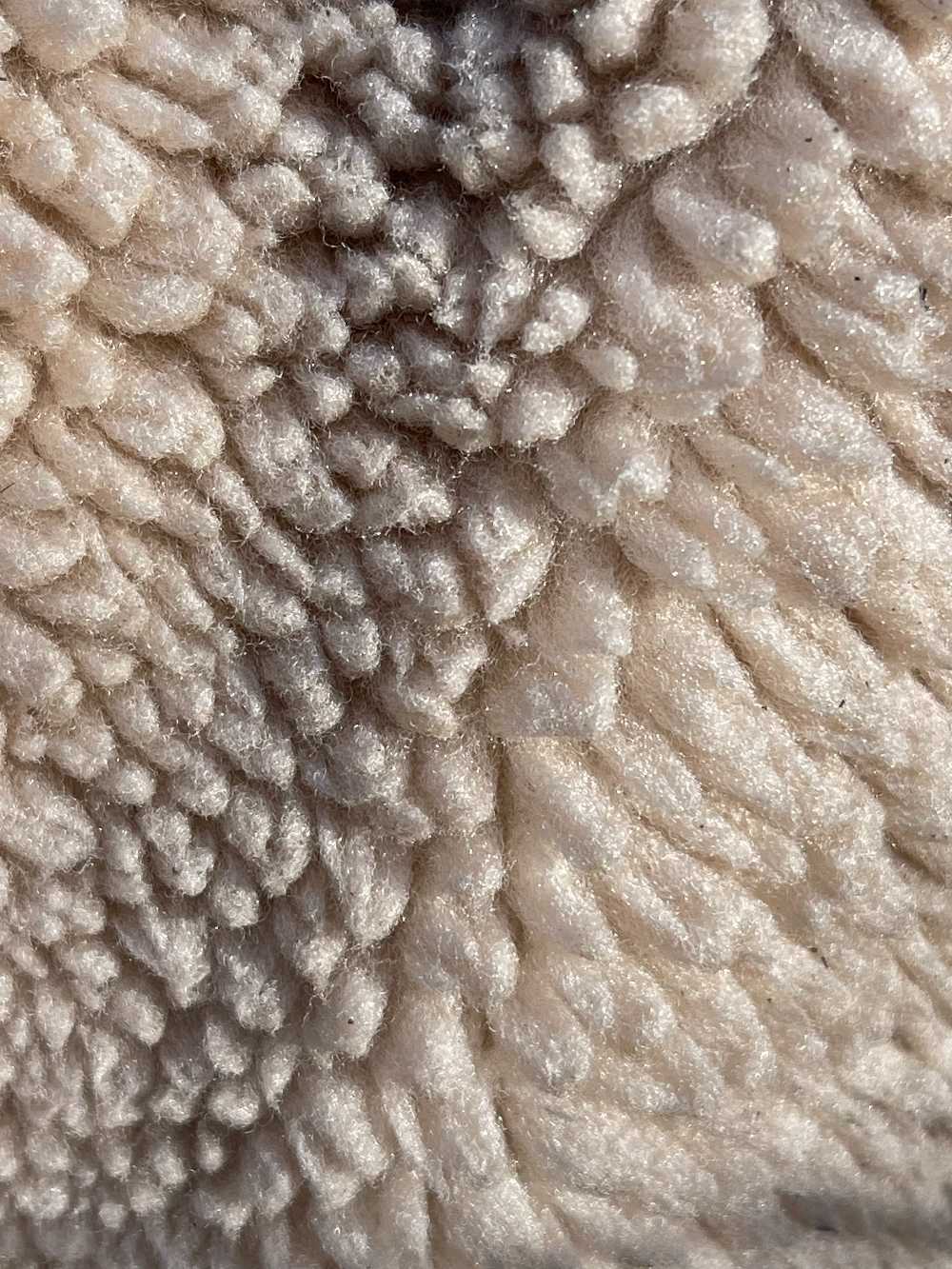 Merino_Sheep_Fiber_Close_Up_-_Oliver_Charles.jpg__PID:49b70939-da45-4b45-b061-1d75f78c1f5b