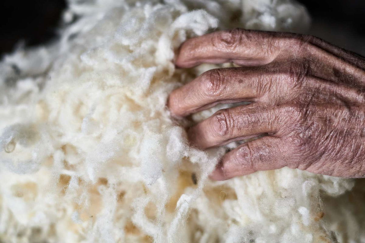 Oliver Charles - Merino & Yak Wool Khullu - Antimicrobial Odor-Resistant Thermoregulating Sustainable Natural Wool Material