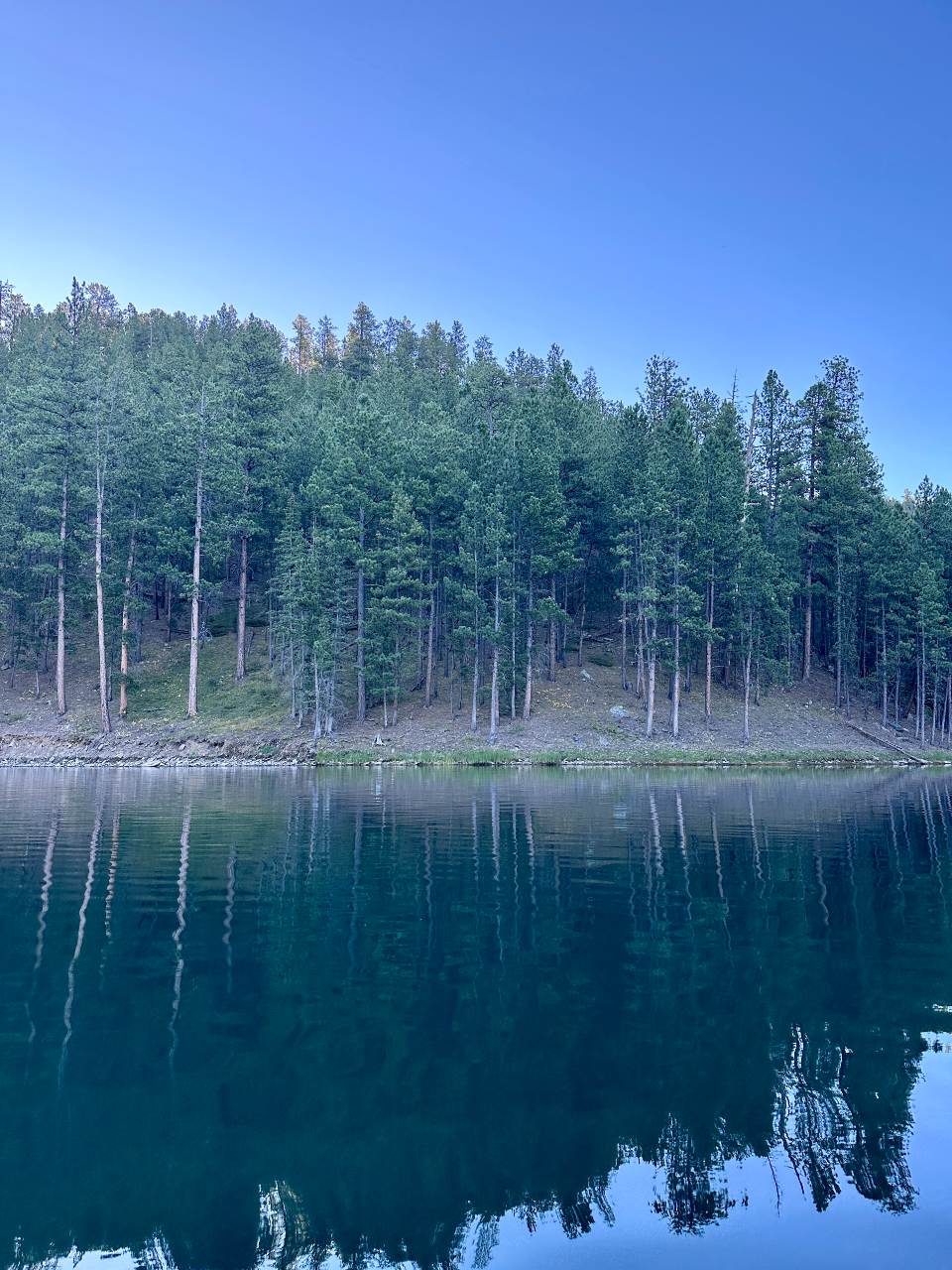 Pactola_Lake_View_-_Oliver_Charles.jpg__PID:06c21e5a-d60e-4ad2-8c1c-e26740ff37f2