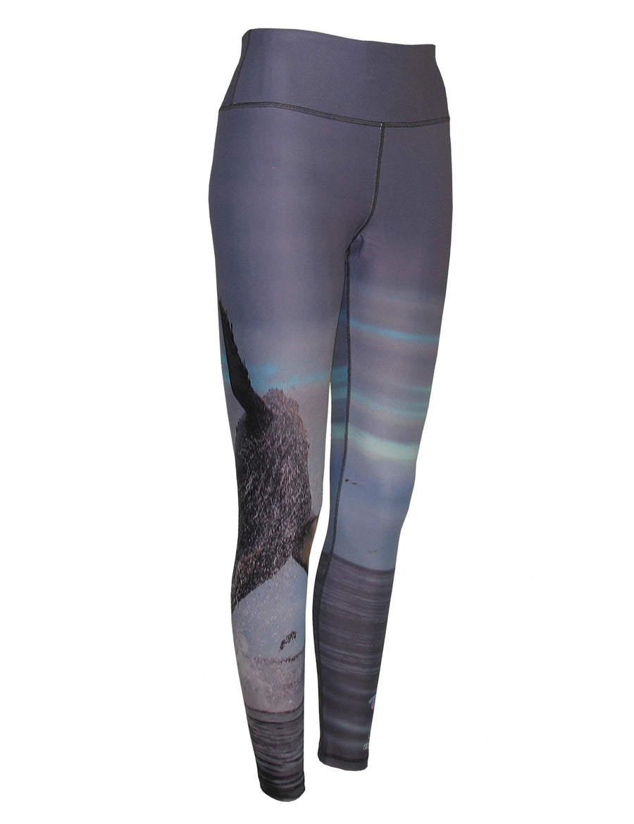 Oceancognito All Sport Leggings | Women's Yoga Apparel - Cognito Brands,  Inc.