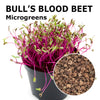 Microgreen seeds - Bull’s Blood beet Granada