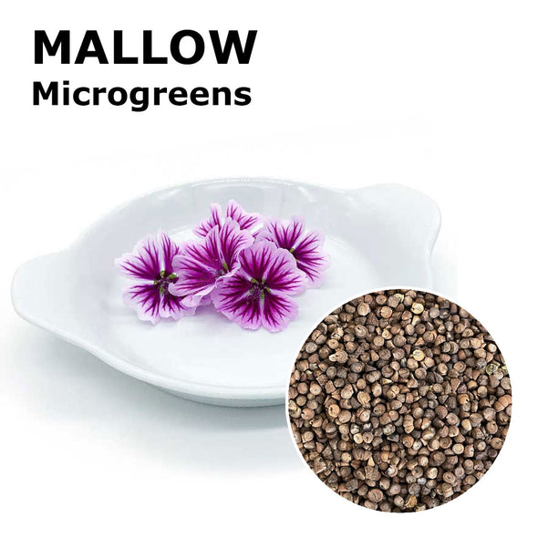 Microgreen seeds - Mallow Skin