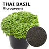 Microgreen seeds - Thai basil Aroma